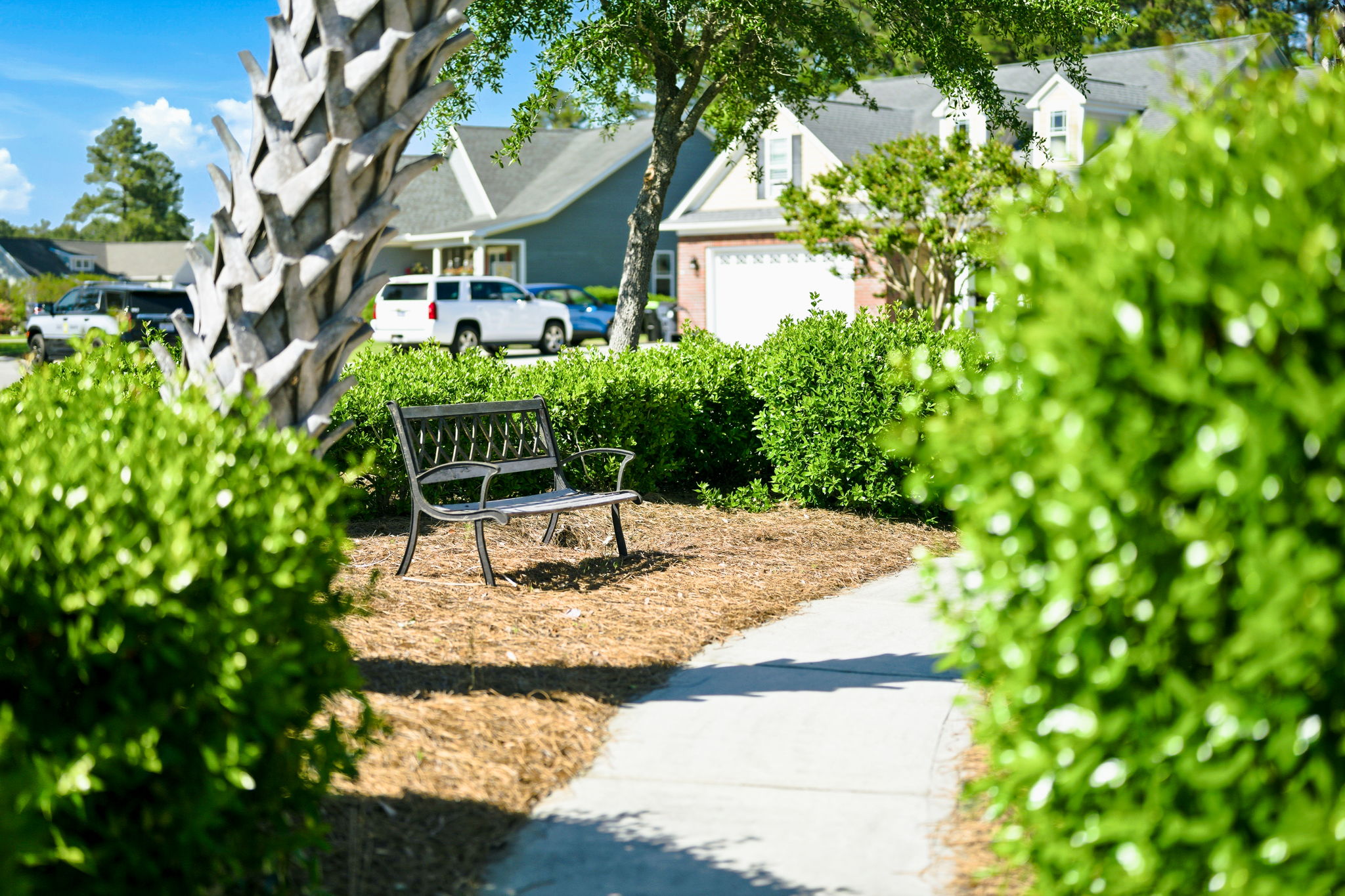Summerwoods Neighborhood